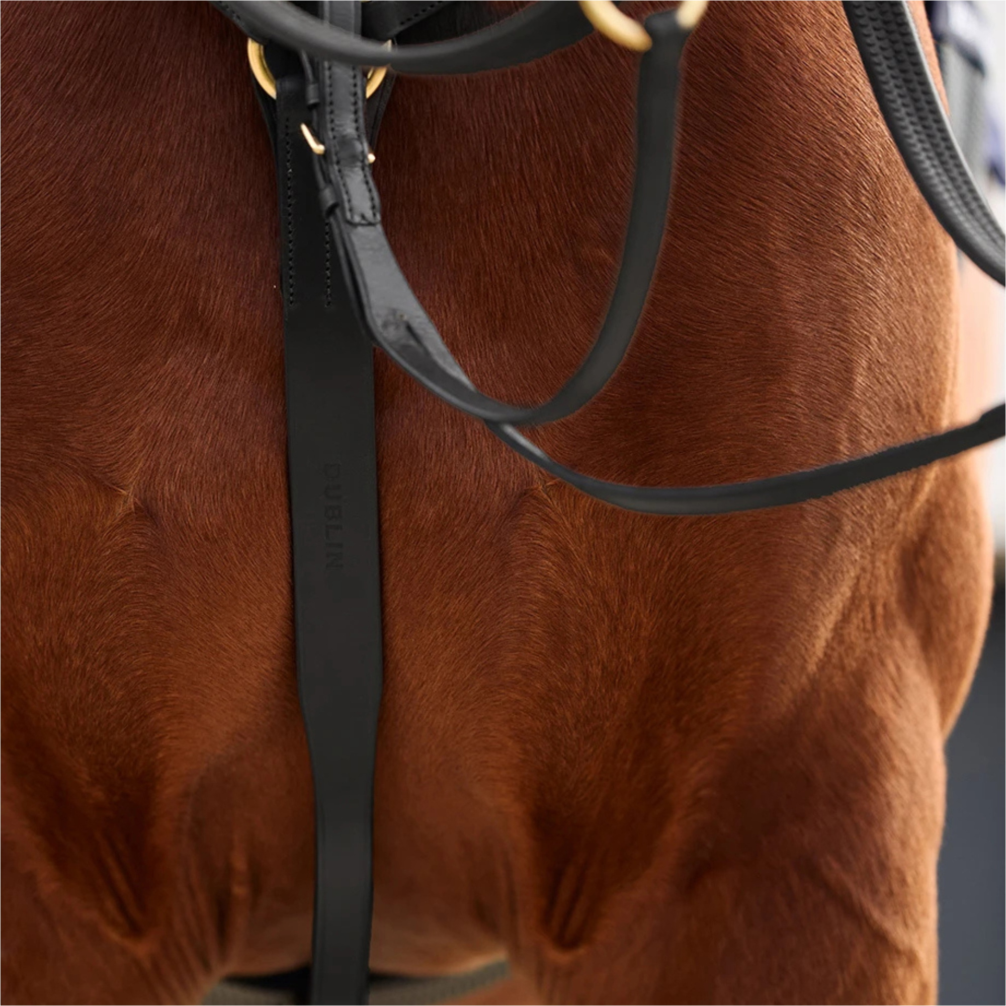 2026 Dublin 3-Point Breastplate 1031504 - Black